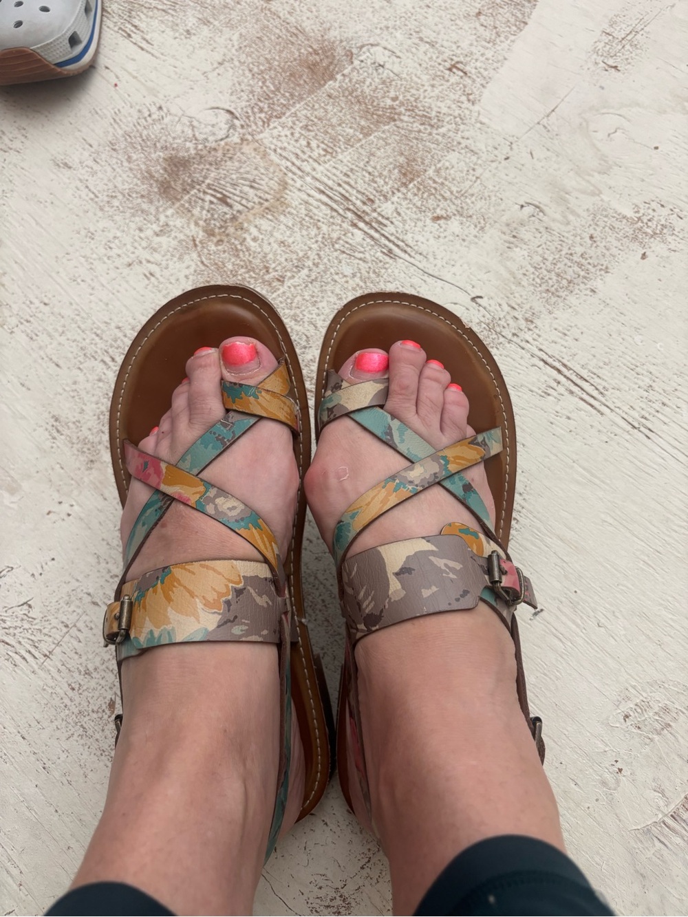 Patricia Nash Multicolor Floral Sandals